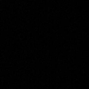 Meet your Posher, Trevor